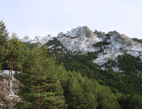 El Proyecto Parque sierra de guadarrama